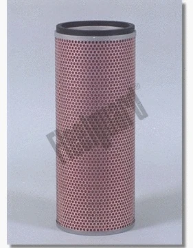 Air Filter (AF4699)