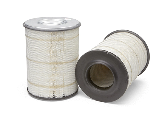 Air Filter (AF25631)