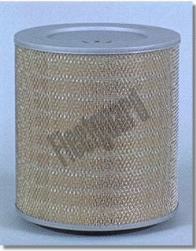 Air Filter (AF25222)