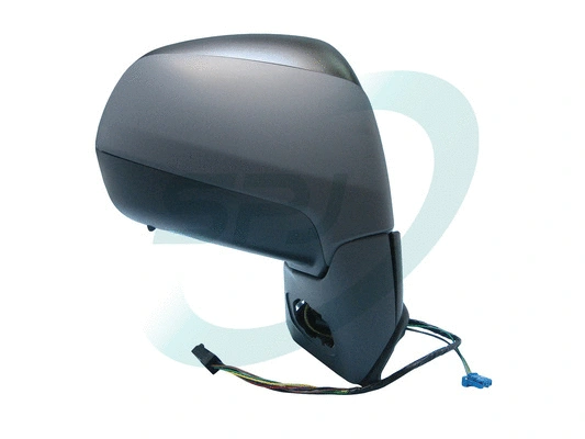 Exterior Mirror (E-2644)