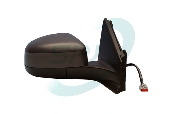 Exterior Mirror (E-2481)