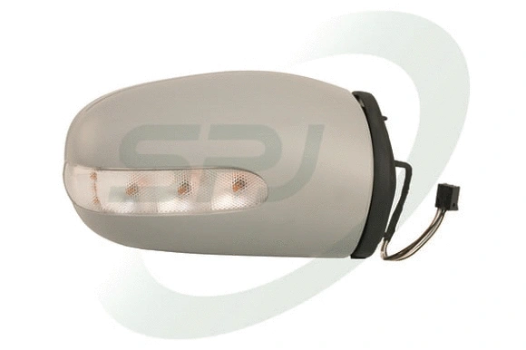 Exterior Mirror (E-2901)