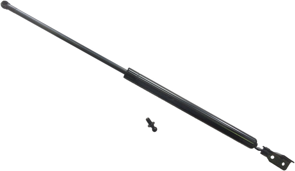 Gas Spring, boot/cargo area (2019473)