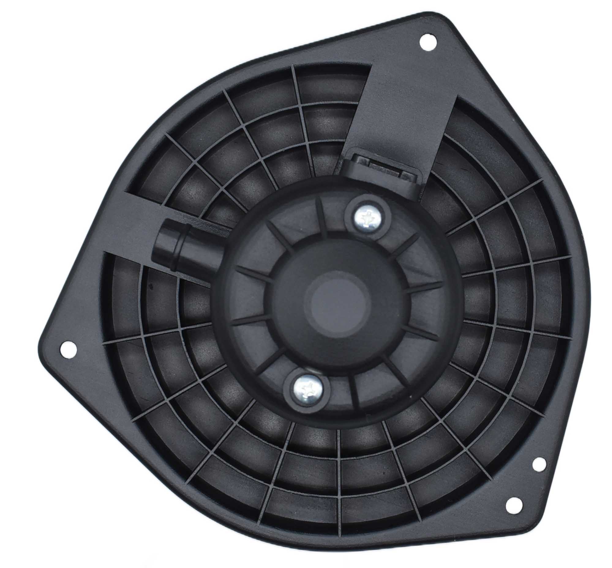 Interior Blower