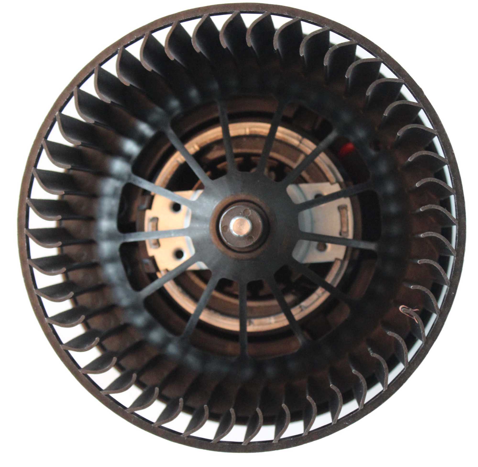 Interior Blower