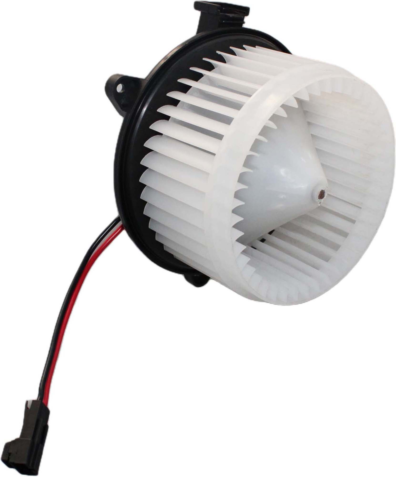 Interior Blower (BW0391)