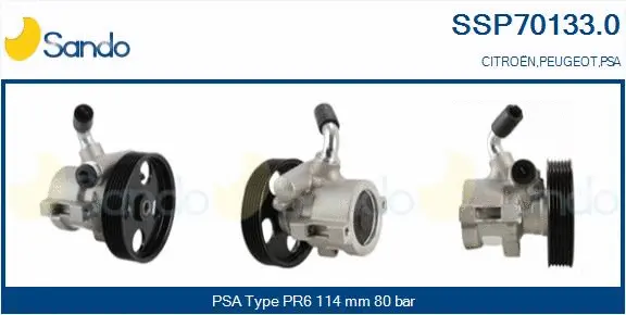 Hydraulic Pump, steering (SSP70133.0)