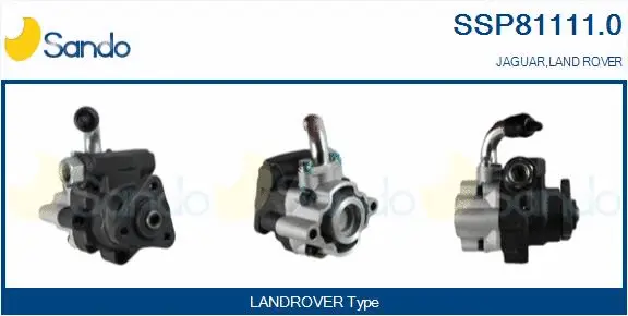 Hydraulic Pump, steering (SSP81111.0)