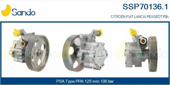 Hydraulic Pump, steering (SSP70136.1)