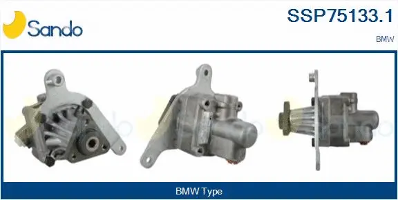 Hydraulic Pump, steering (SSP75133.1)