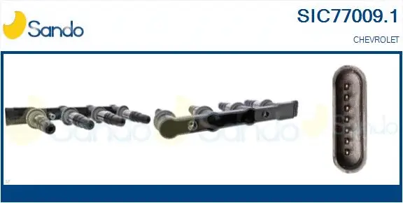 Ignition Coil (SIC77009.1)
