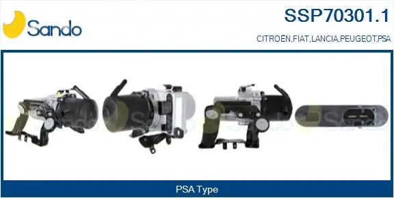 Hydraulic Pump, steering (SSP70301.1)