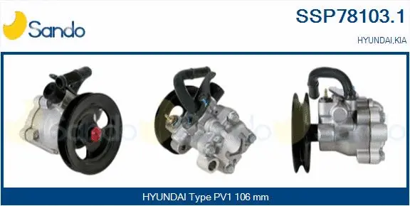 Hydraulic Pump, steering (SSP78103.1)