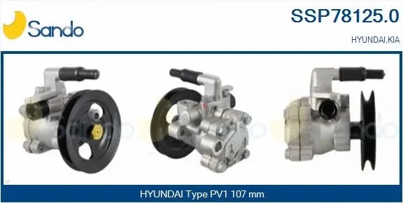 Hydraulic Pump, steering (SSP78125.0)