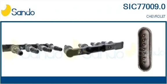 Ignition Coil (SIC77009.0)