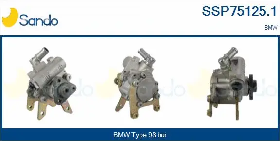 Hydraulic Pump, steering (SSP75125.1)