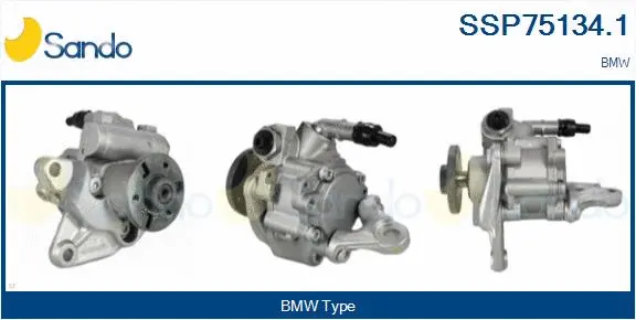 Hydraulic Pump, steering (SSP75134.1)