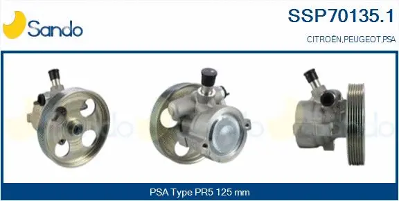 Hydraulic Pump, steering (SSP70135.1)