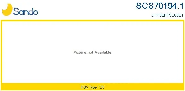Steering Column Switch (SCS70194.1)