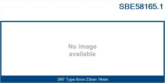 Bearing (SBE58165.1)