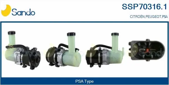 Hydraulic Pump, steering (SSP70316.1)