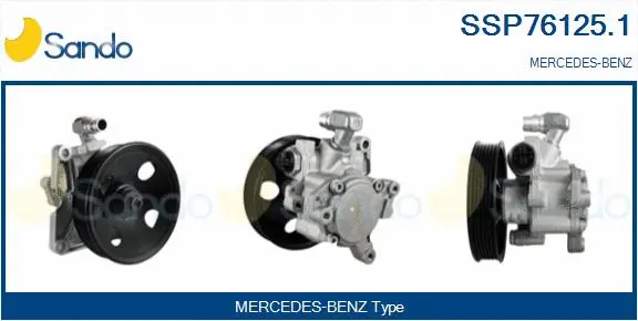 Hydraulic Pump, steering (SSP76125.1)