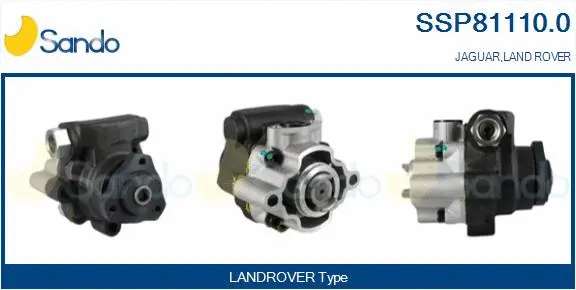 Hydraulic Pump, steering (SSP81110.0)