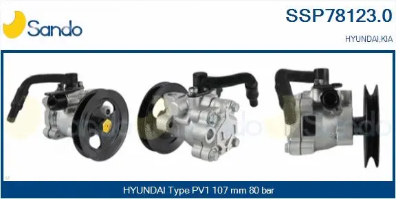 Hydraulic Pump, steering (SSP78123.0)