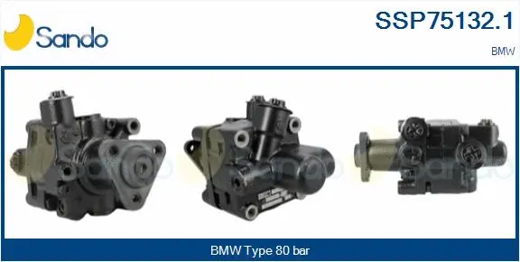Hydraulic Pump, steering (SSP75132.1)