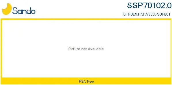 Hydraulic Pump, steering (SSP70102.0)