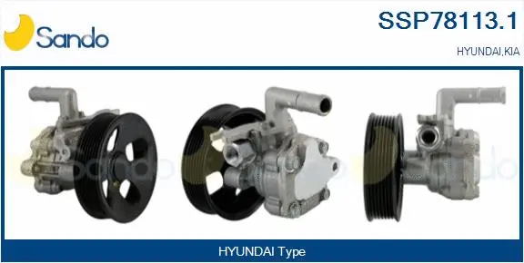 Hydraulic Pump, steering (SSP78113.1)