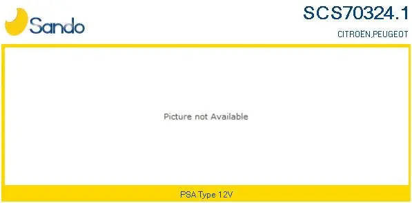 Steering Column Switch (SCS70324.1)