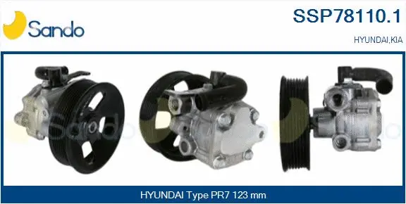 Hydraulic Pump, steering (SSP78110.1)