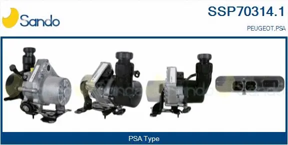 Hydraulic Pump, steering (SSP70314.1)