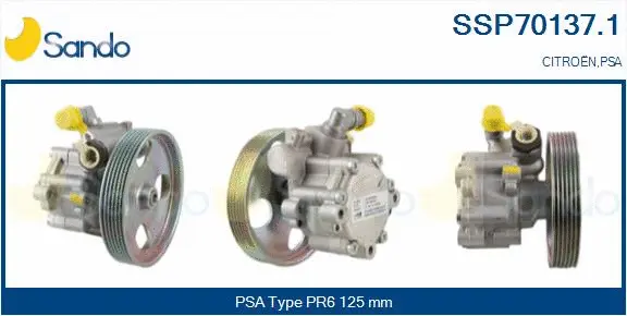 Hydraulic Pump, steering (SSP70137.1)