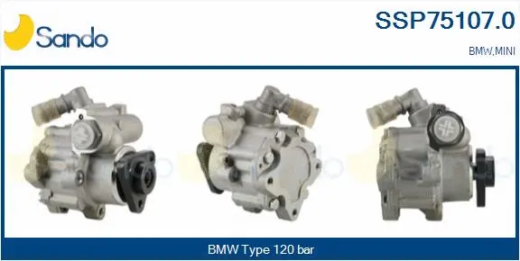 Hydraulic Pump, steering (SSP75107.0)