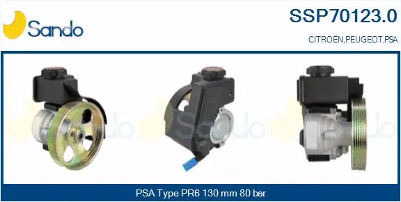 Hydraulic Pump, steering (SSP70123.0)