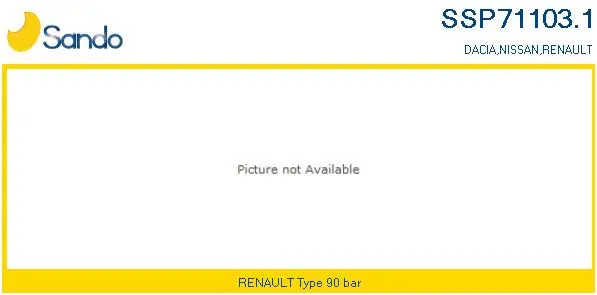 Hydraulic Pump, steering (SSP71103.1)