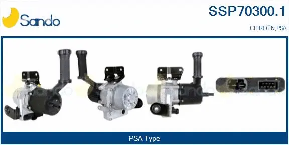 Hydraulic Pump, steering (SSP70300.1)