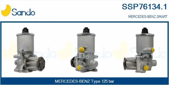 Hydraulic Pump, steering (SSP76134.1)