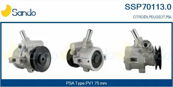 Hydraulic Pump, steering (SSP70113.0)