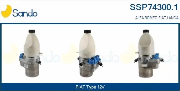 Hydraulic Pump, steering (SSP74300.1)