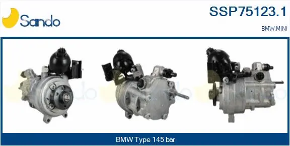 Hydraulic Pump, steering (SSP75123.1)