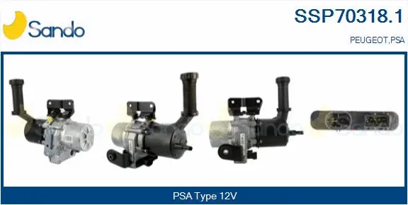 Hydraulic Pump, steering (SSP70318.1)