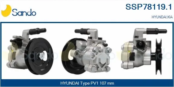 Hydraulic Pump, steering (SSP78119.1)