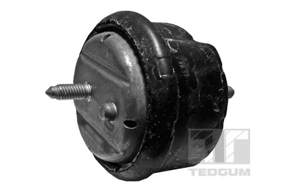 Mounting, engine (00089803)