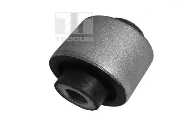 Mounting, control/trailing arm (00506279)
