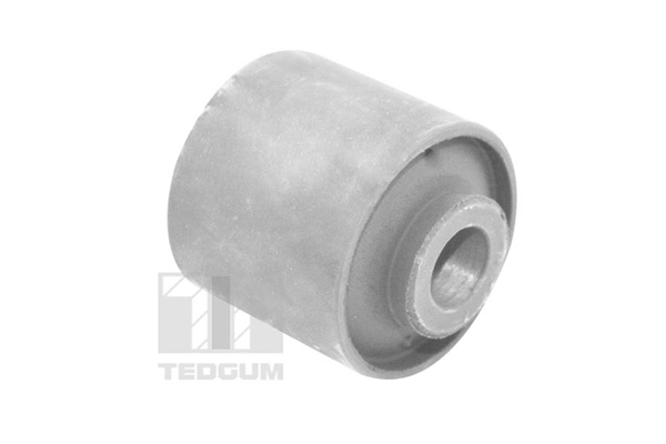 Mounting, control/trailing arm (TED15160)