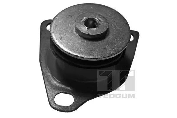 Bushing, axle beam (00059503)