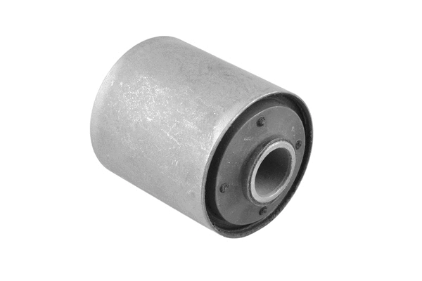 Mounting, leaf spring (00220344)